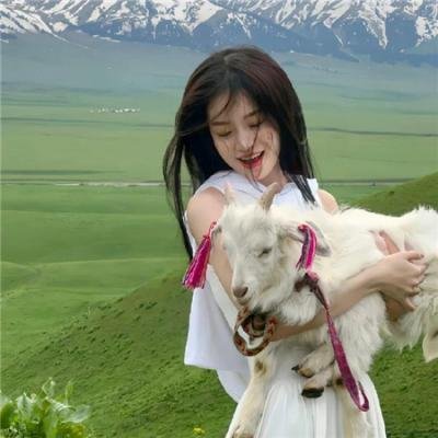 少女情怀总是挛