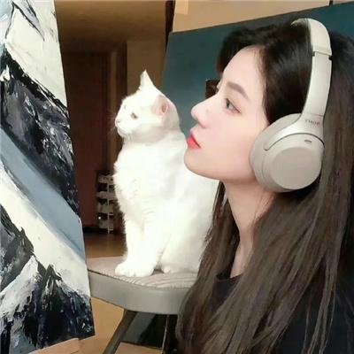 原告的证人